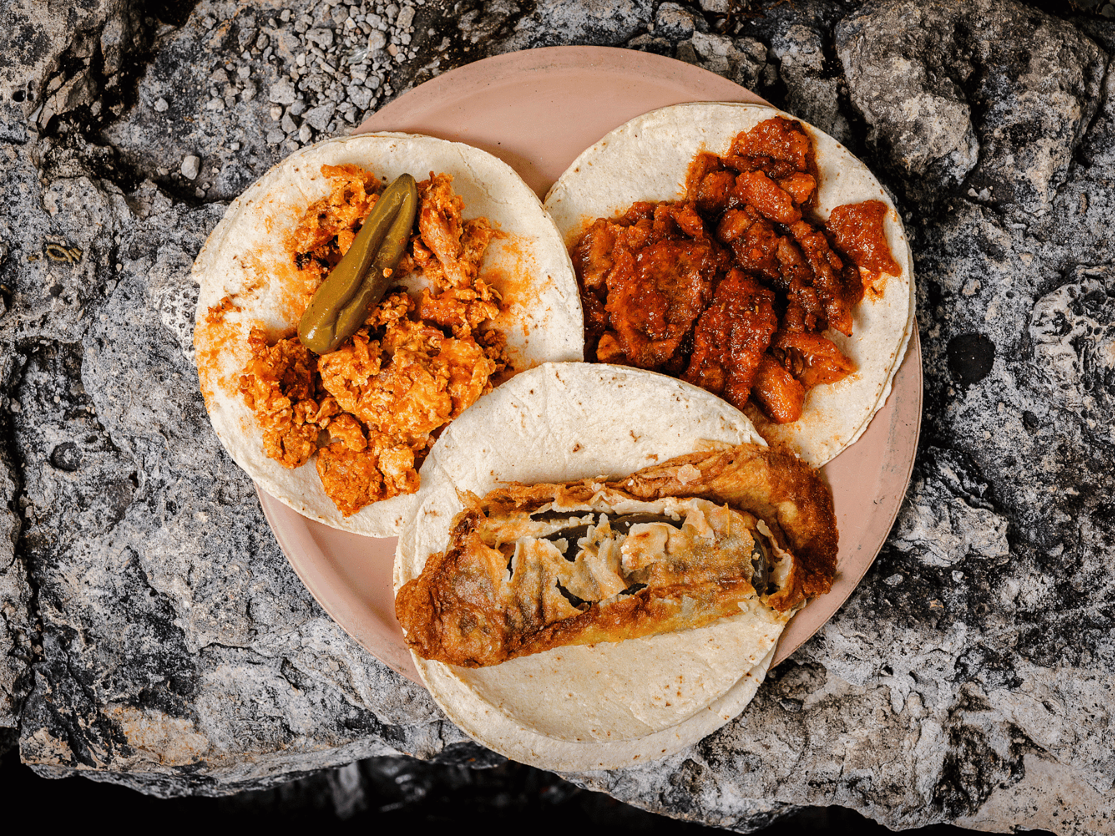 Acapulco-style stew tacos
