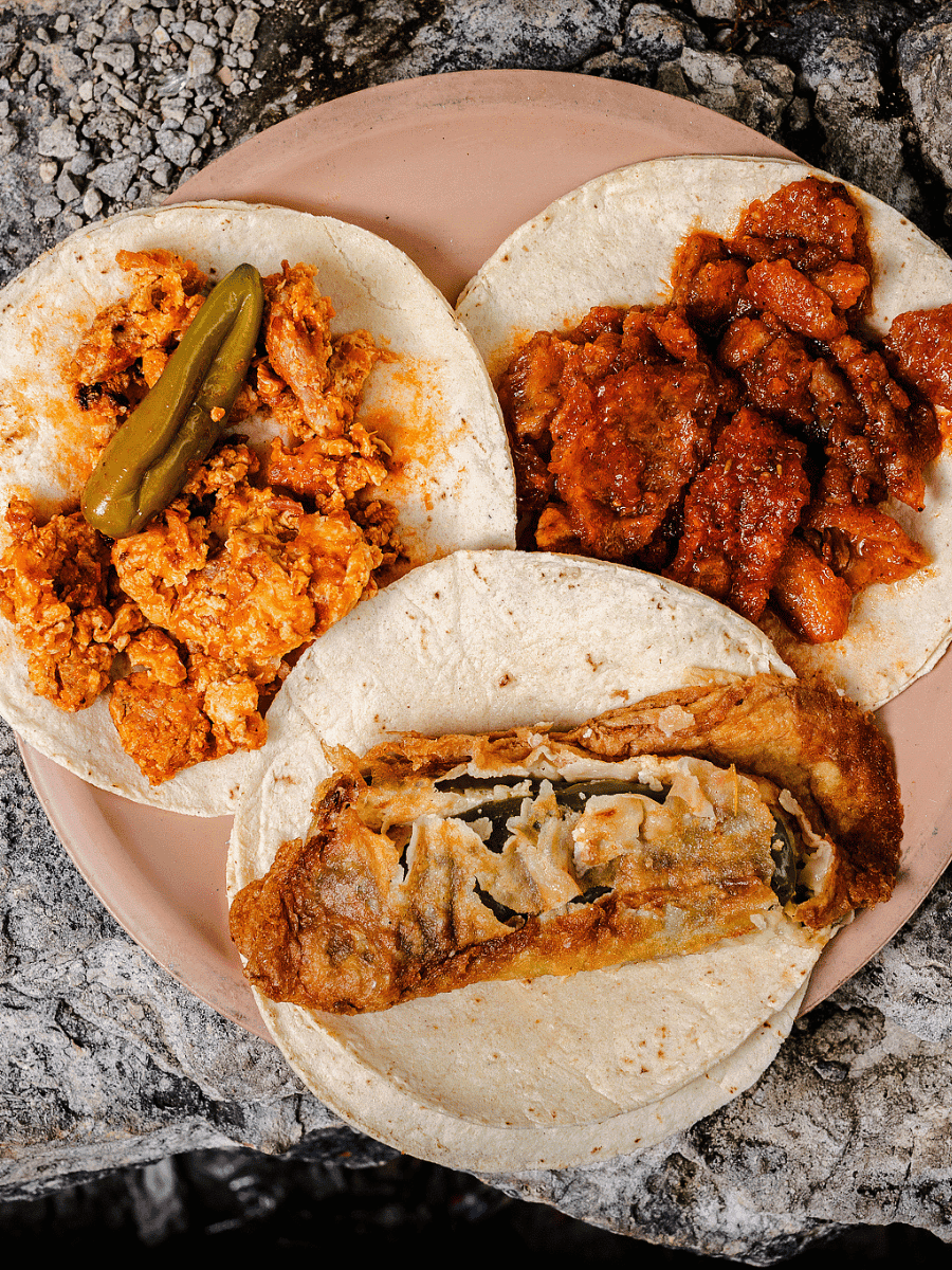 Acapulco-style stew tacos